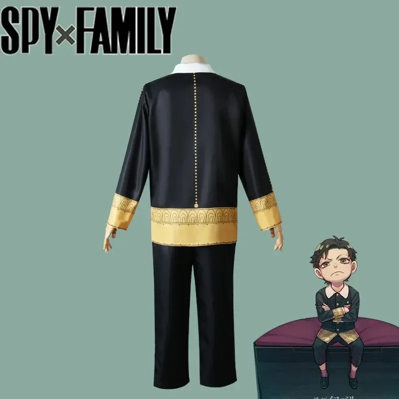 Damian Desmond Cosplay Adult C - огляд і ціна Spy Family Outfit